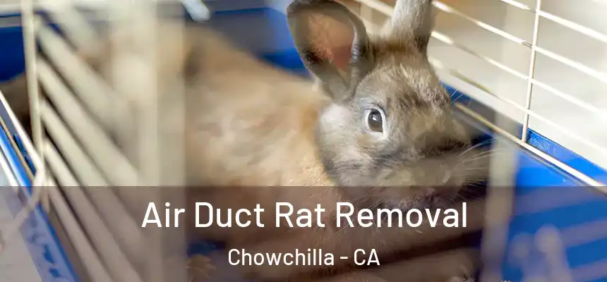  Air Duct Rat Removal Chowchilla - CA