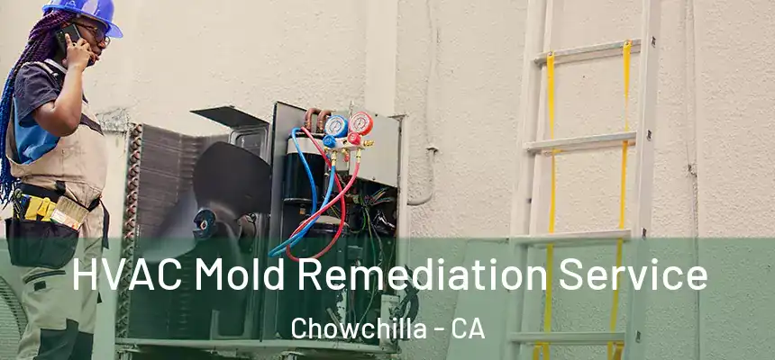 HVAC Mold Remediation Service Chowchilla - CA