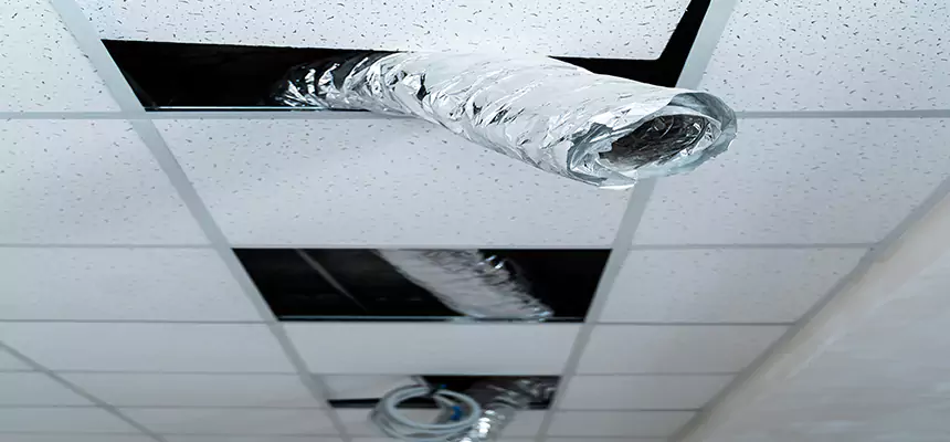 Our Air Duct Pet Hair Removal Services in Chowchilla, CA