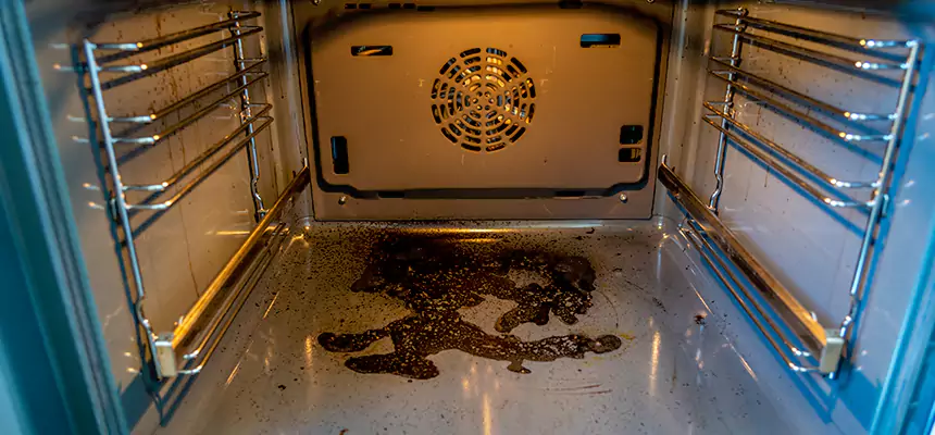 Our Dryer Vent Mold Cleaning Services in Chowchilla, CA