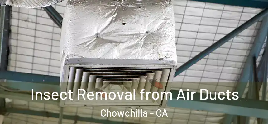  Insect Removal from Air Ducts Chowchilla - CA