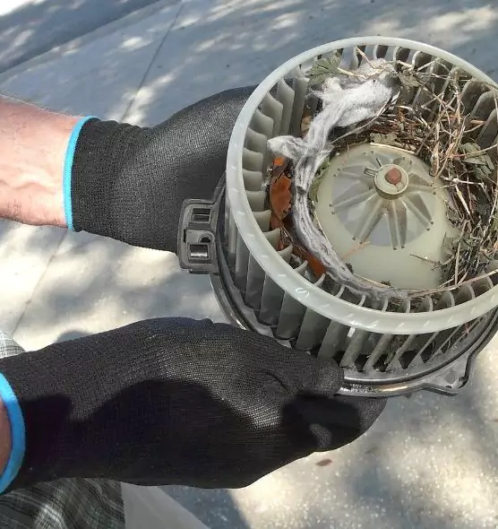 About Air Duct Mice Removal in Chowchilla, CA