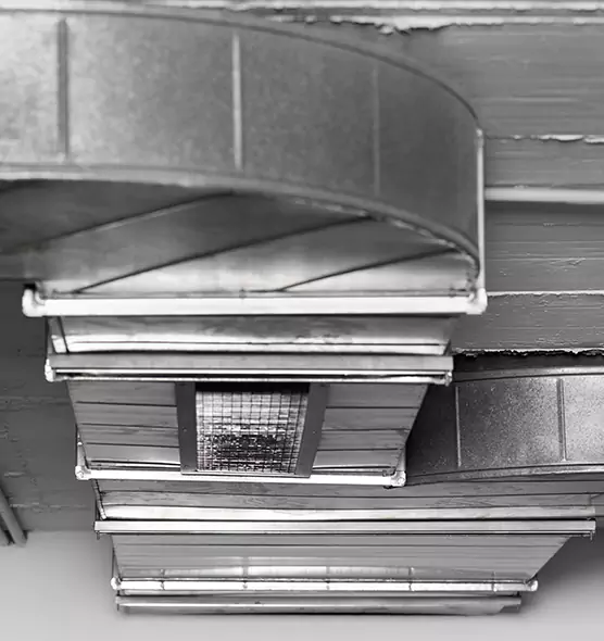 Professional Air Duct Pest Removal in Chowchilla, CA