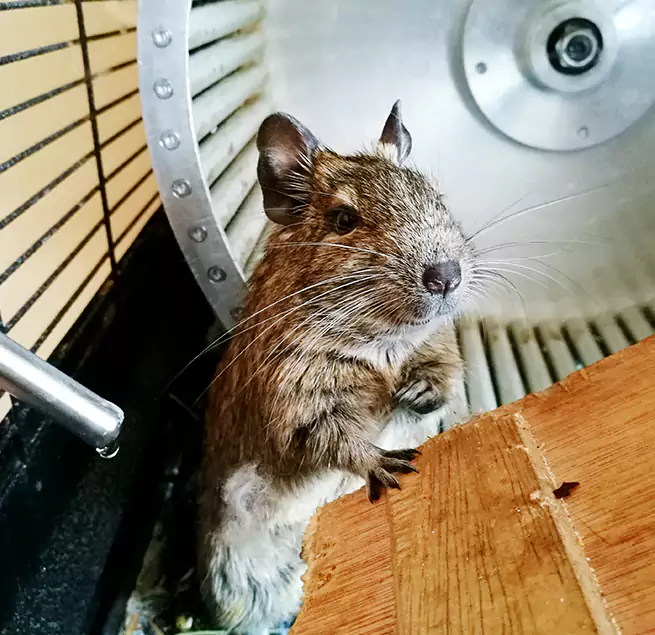 Why Homeowners & Businesses Trust Us Chowchilla, CA