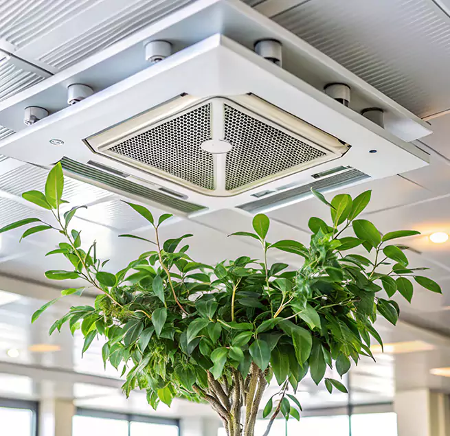 Why Homeowners & Businesses Trust Us in Chowchilla, CA?